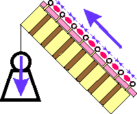 The leaning spine