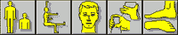 Anthropometric Data